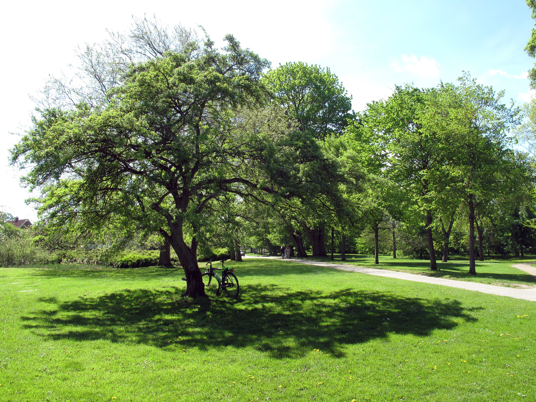 Folkeparken